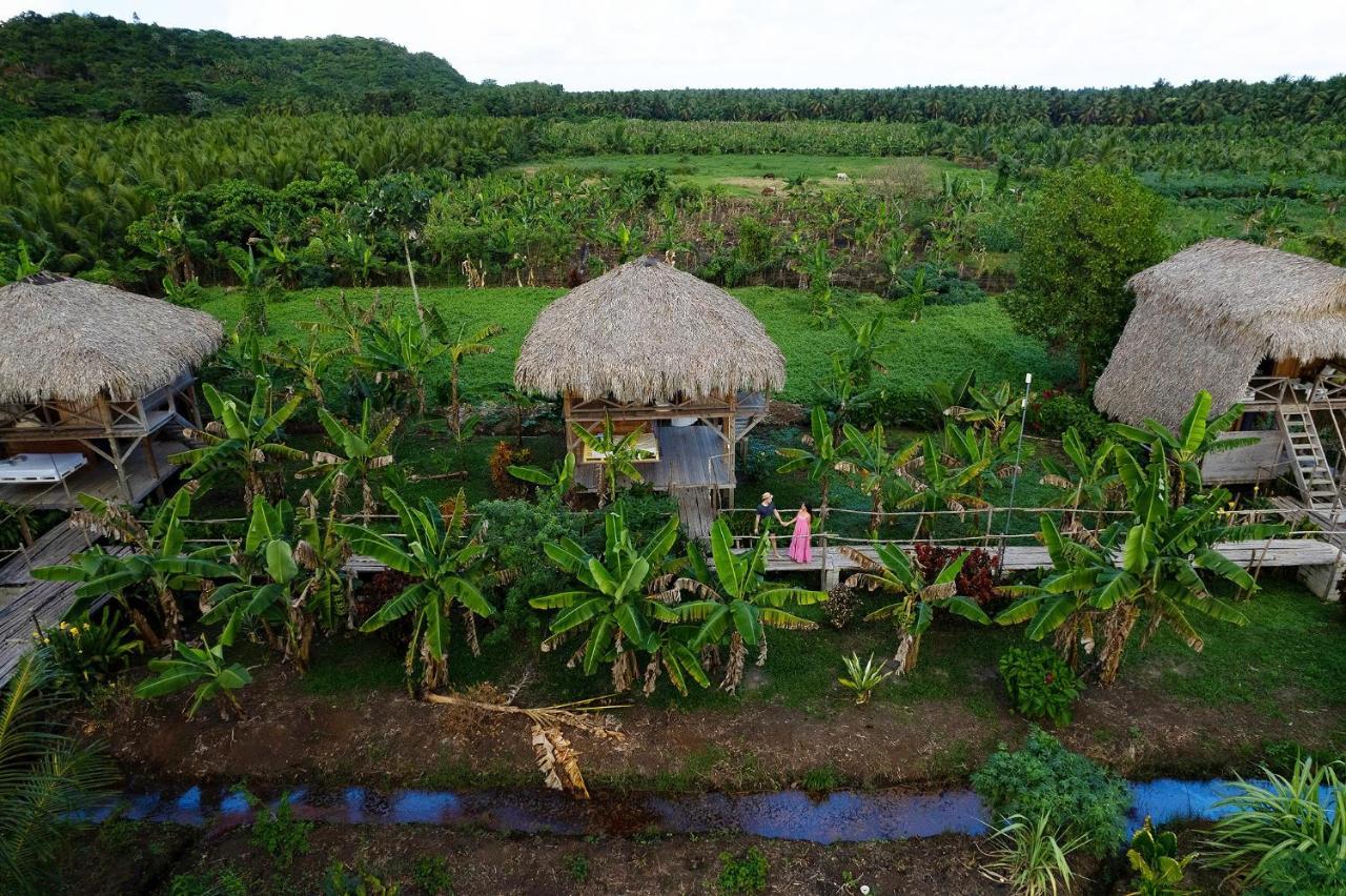 Samana Ecolodge El Limon Eksteriør bilde