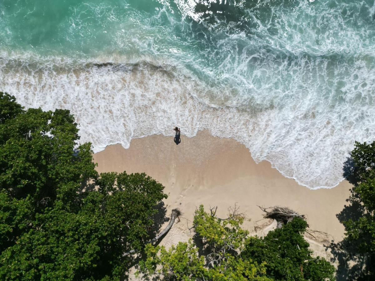 Samana Ecolodge El Limon Eksteriør bilde