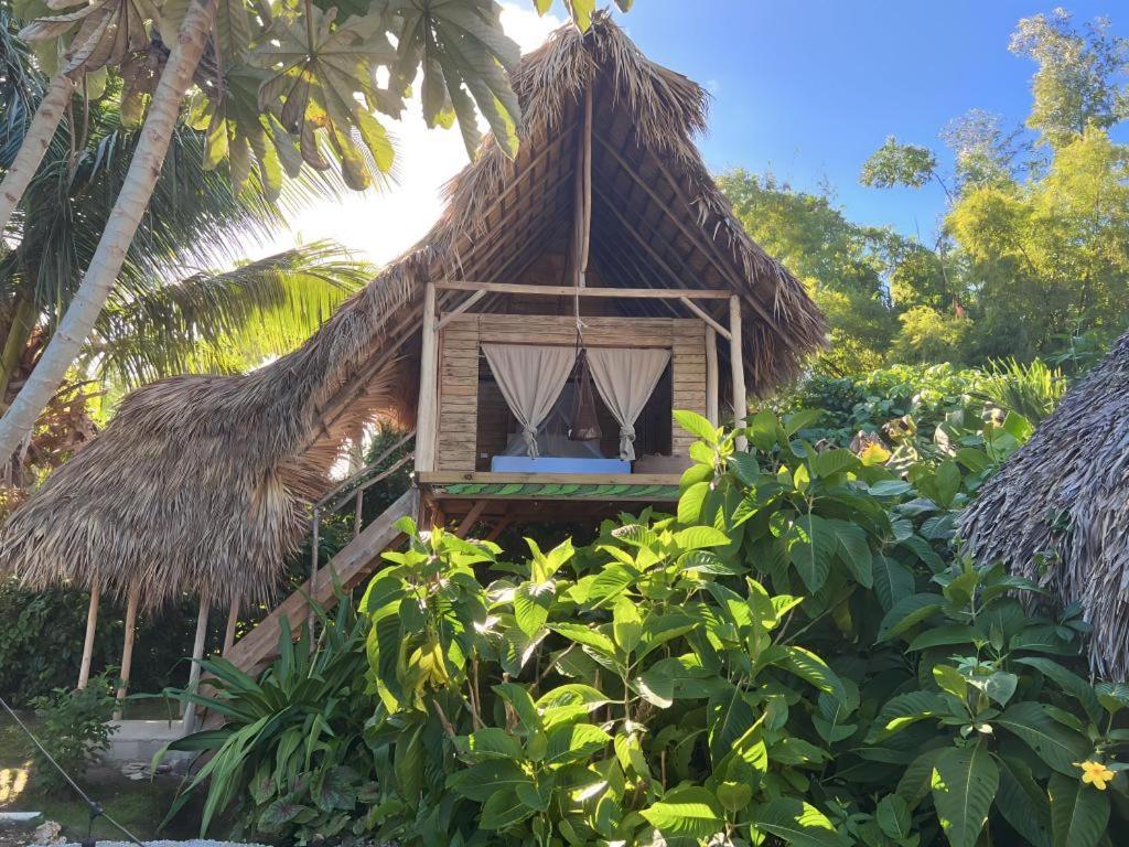 Samana Ecolodge El Limon Eksteriør bilde