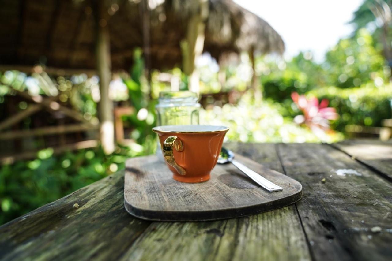 Samana Ecolodge El Limon Eksteriør bilde