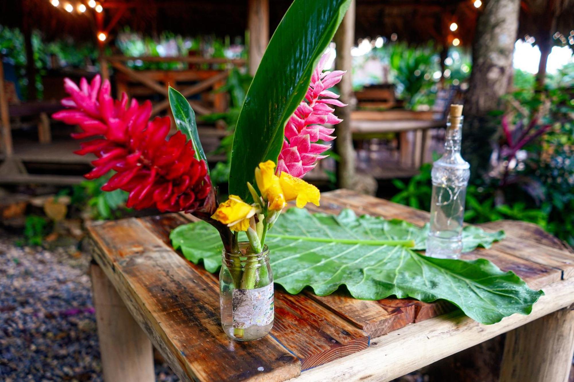 Samana Ecolodge El Limon Eksteriør bilde